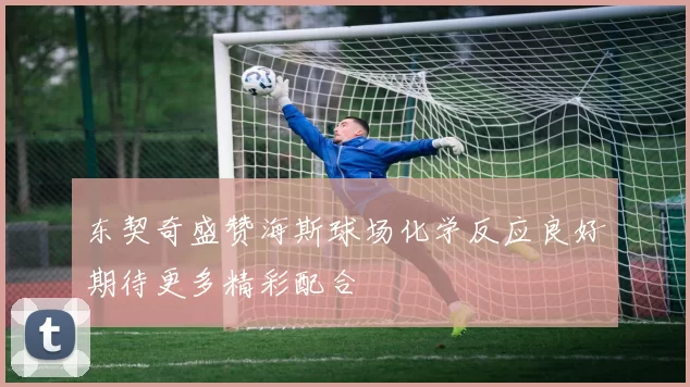 东契奇盛赞海斯球场化学反应良好期待更多精彩配合